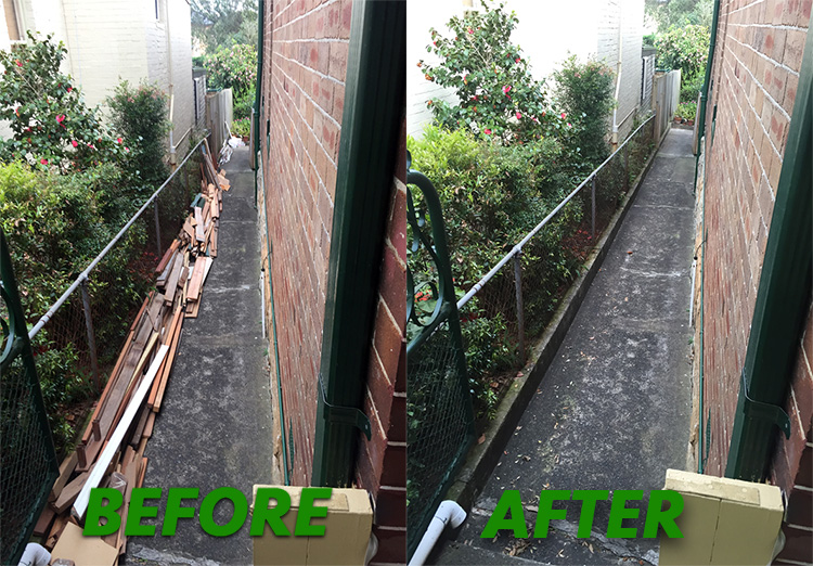 Timber Removal
