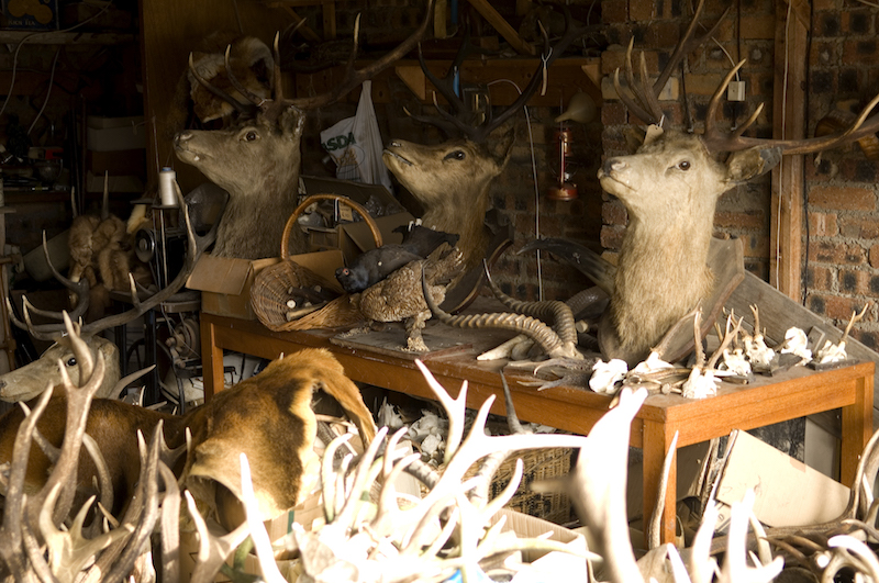 basement workshop