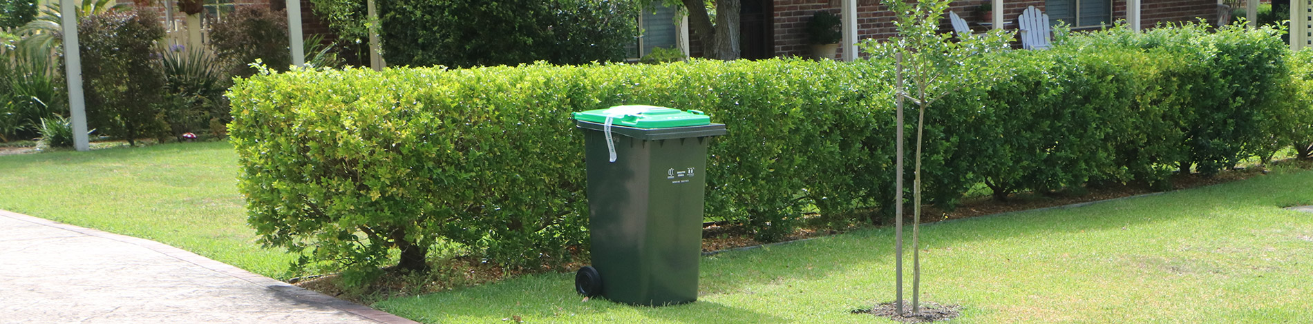 garden waste wheelie bin
