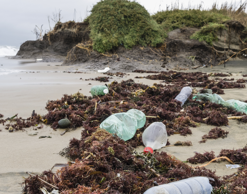 plastic on the beach