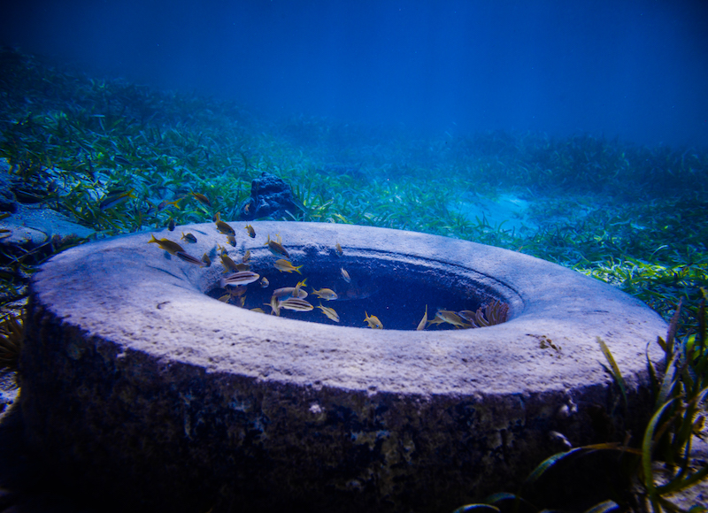 Tyre Found Underwater