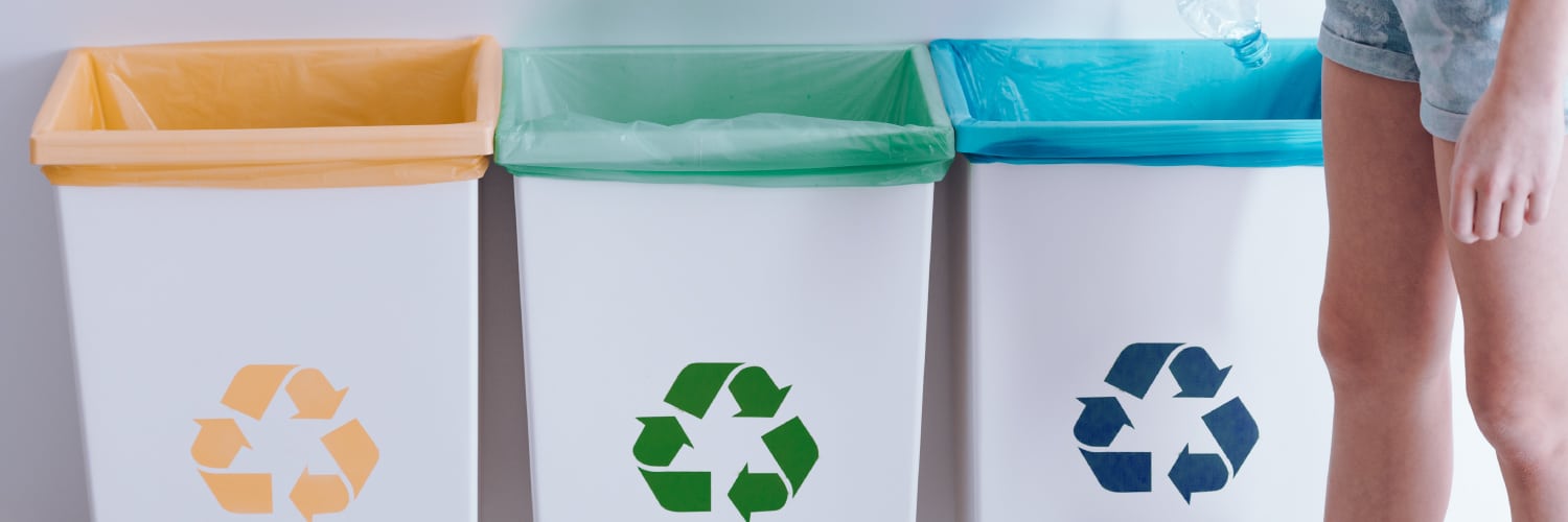 the garbage bin