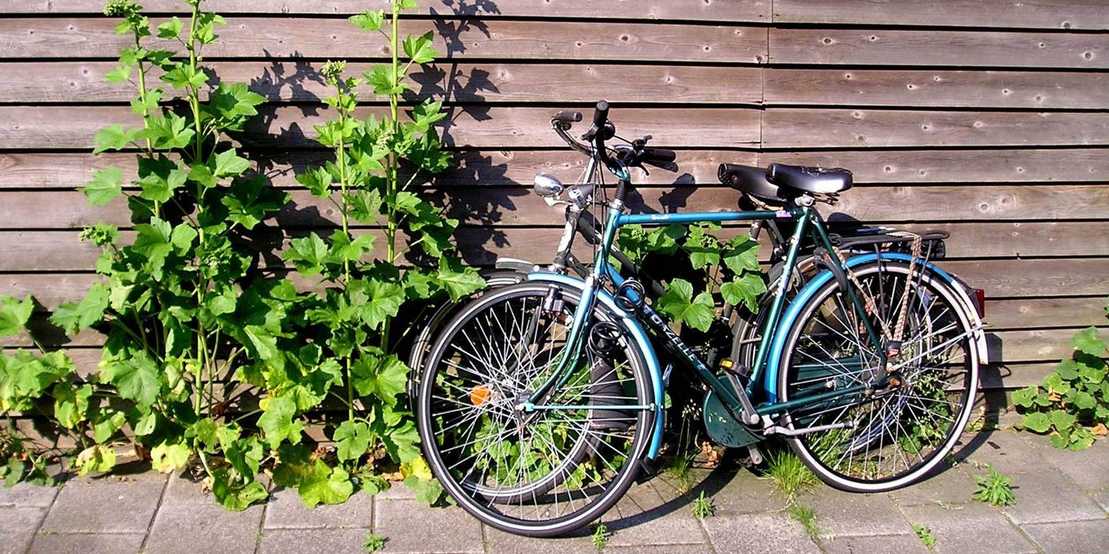 What Can You Do With Those Old Bicycles Paul's Rubbish Removal