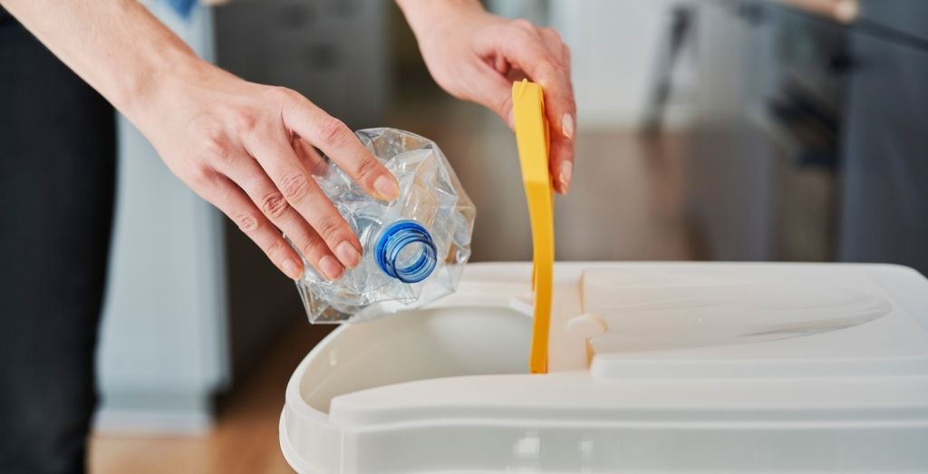 What Happens if You Throw Your Waste in the Wrong Coloured Bin? Paul