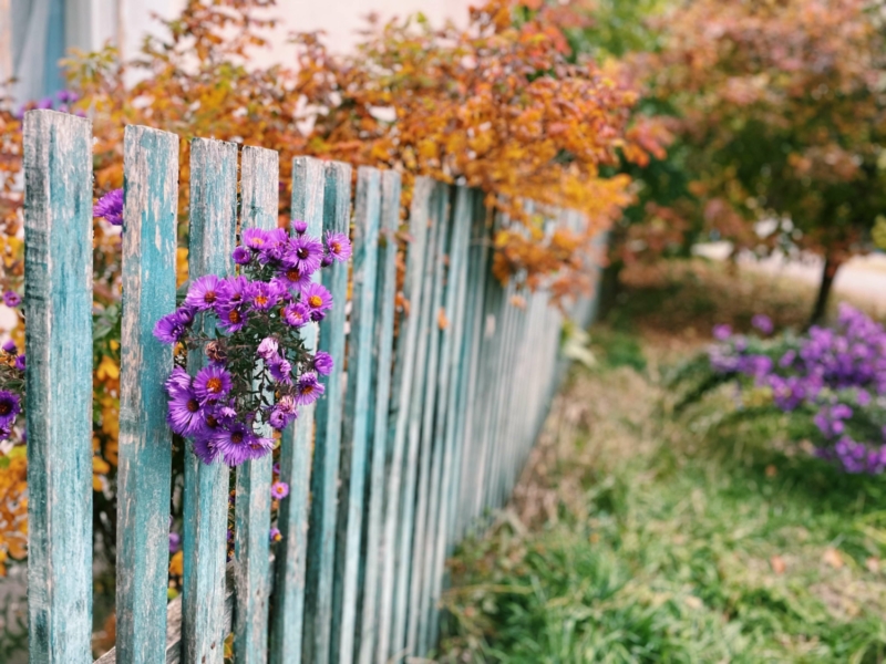 How to Safely Remove Residential Wooden Fences in Sydney