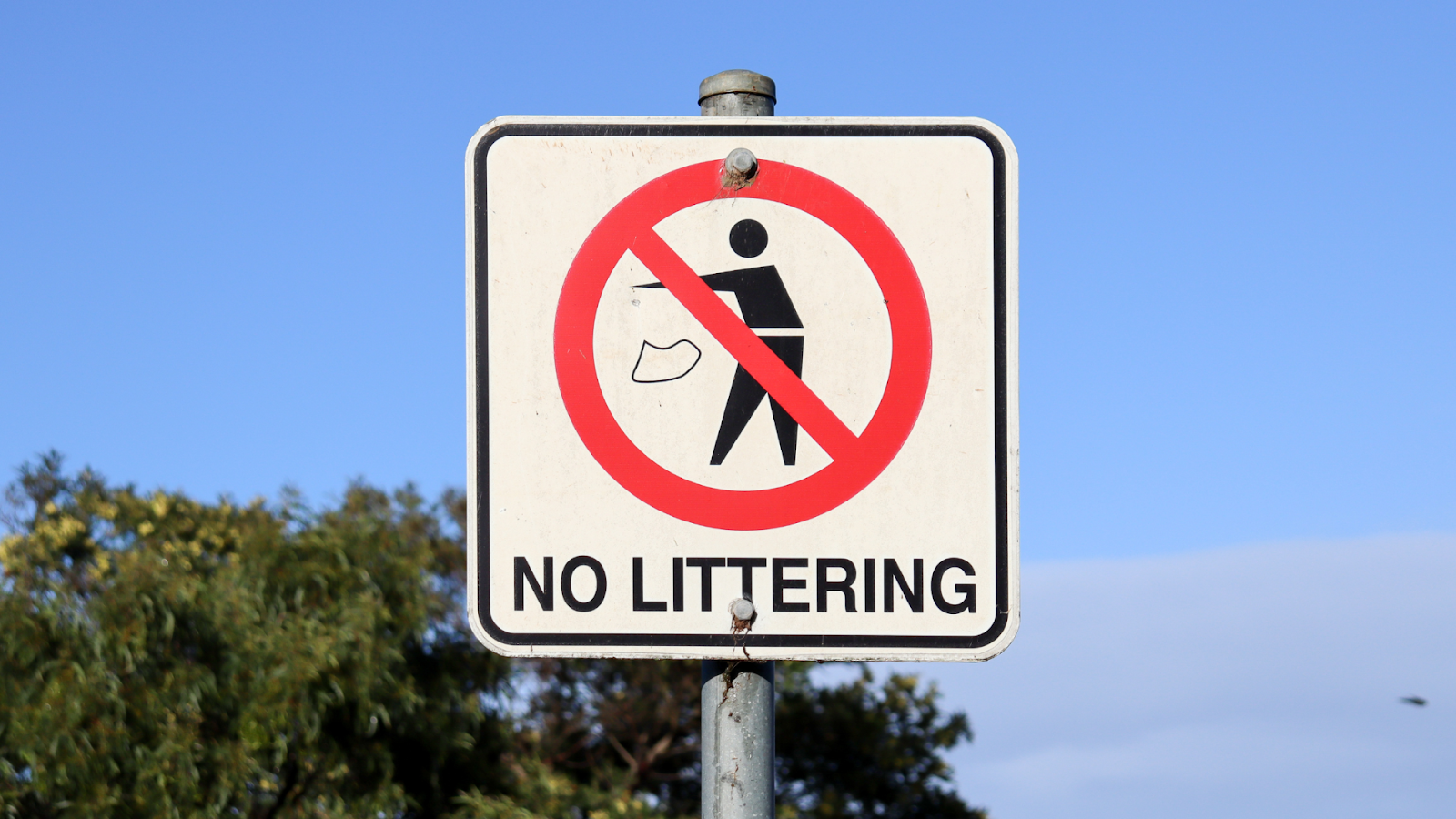 How Does Littering Affect the Environment Paul's Rubbish Removal