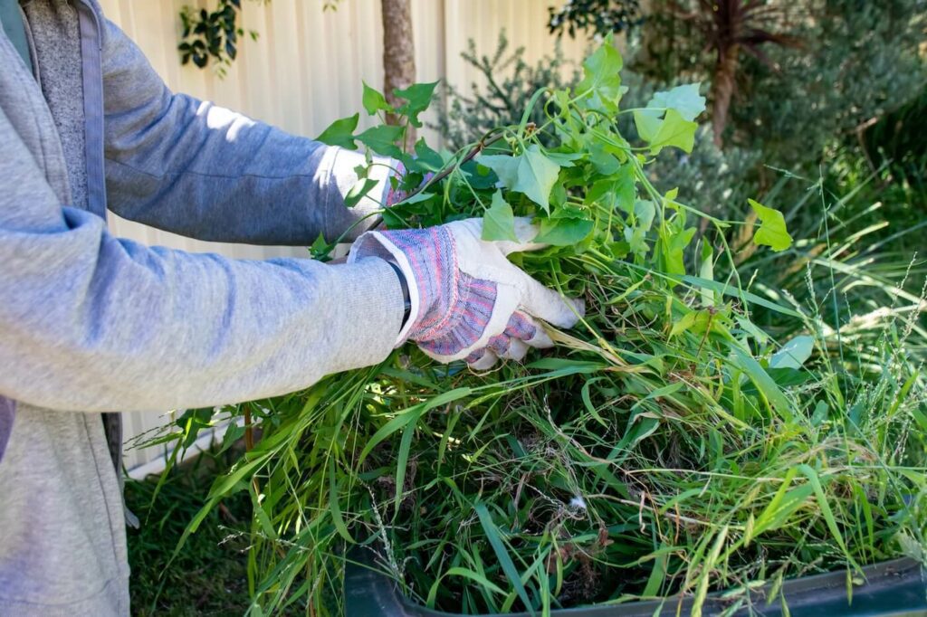 Garden Waste